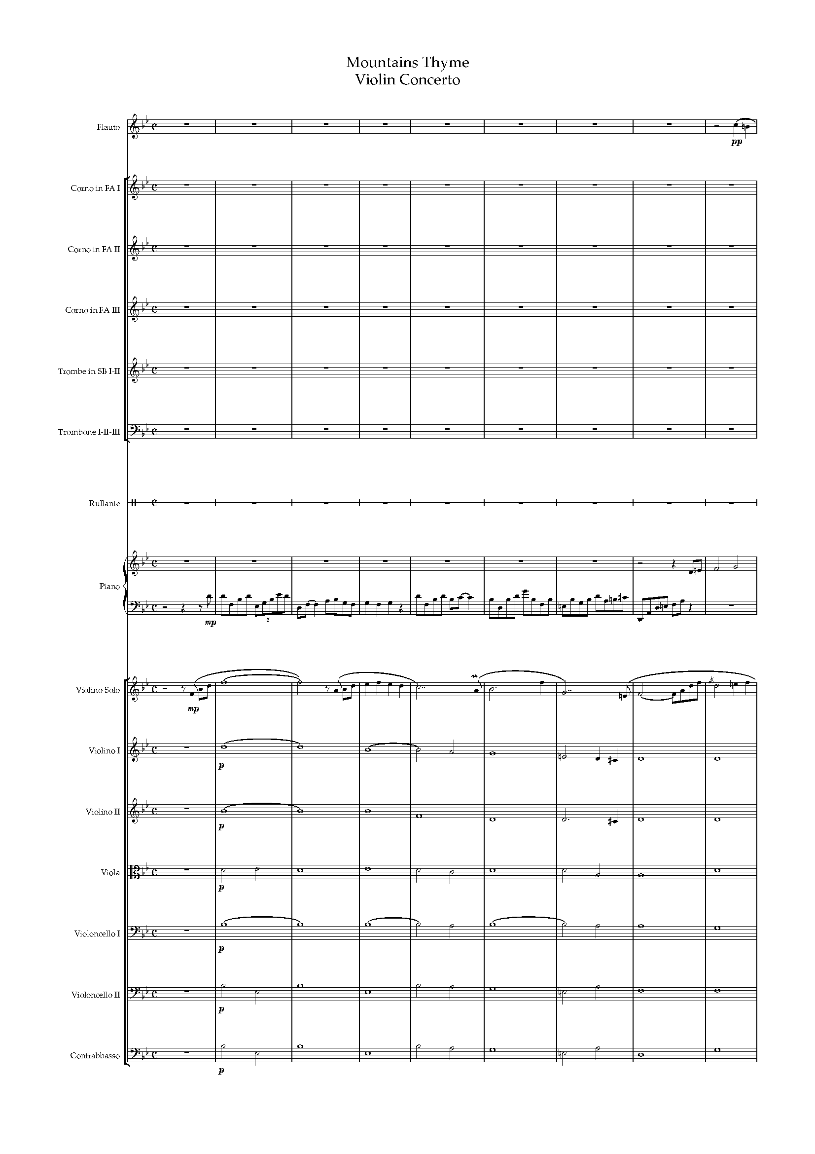 Violin Concerto